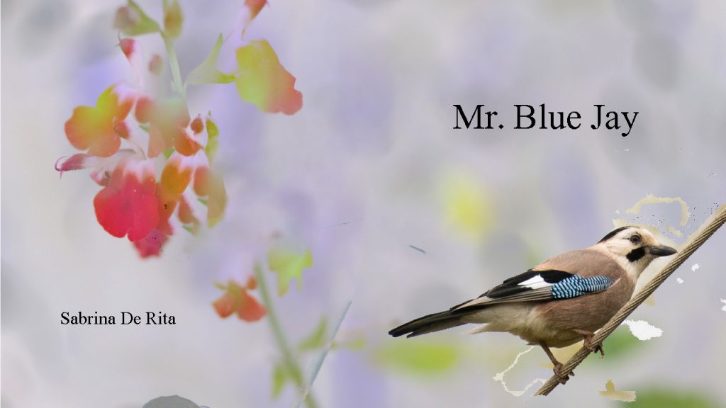 11 by sabrina - Ourboox.com