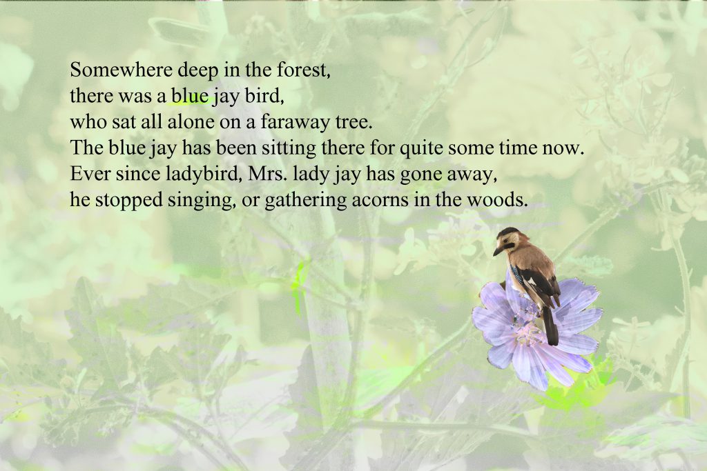 11 by sabrina - Ourboox.com