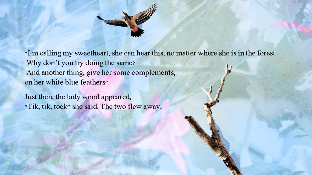 11 by sabrina - Ourboox.com