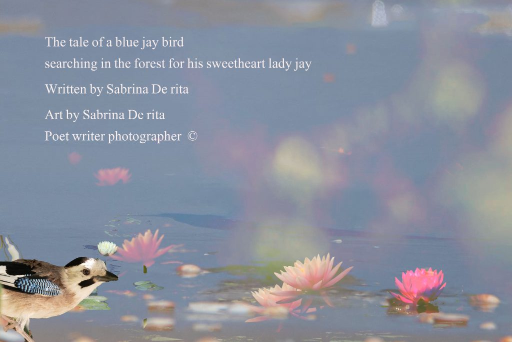 11 by sabrina - Ourboox.com