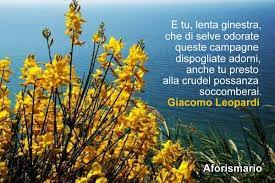 LA POESIA E LA NATURA by LUCA GEROSA - Ourboox.com