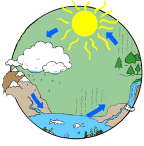 Water cycle by DarekkusA.J BETTTTTTTTTA - Illustrated by Darias Bures - Ourboox.com