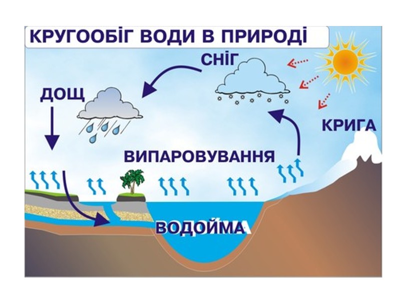 Проект “Пригоди Краплинки” by Oleksiі Samoilov - Ourboox.com