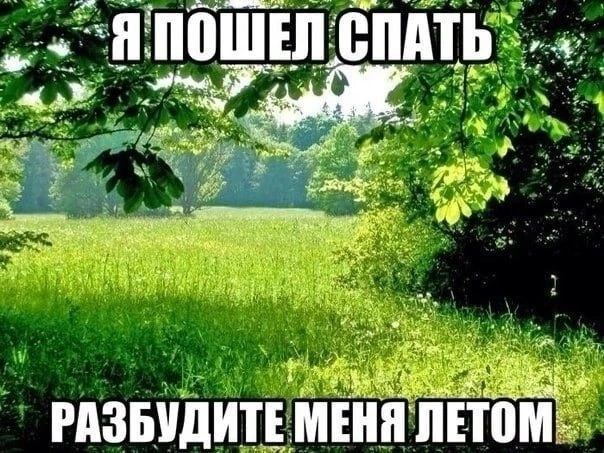 ЛЕТО-ЭТО ХОРОШО! by revenkova ekaterina - Ourboox.com