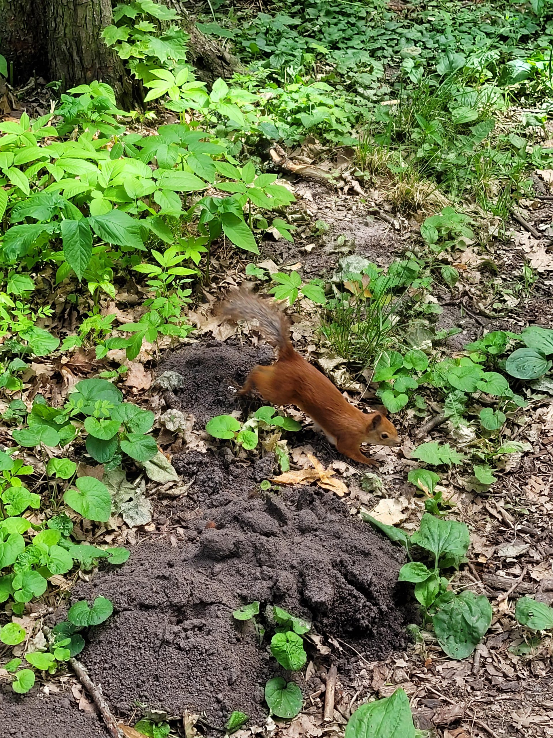 Лето-это хорошо by CHIGRIN ARTEM - Ourboox.com