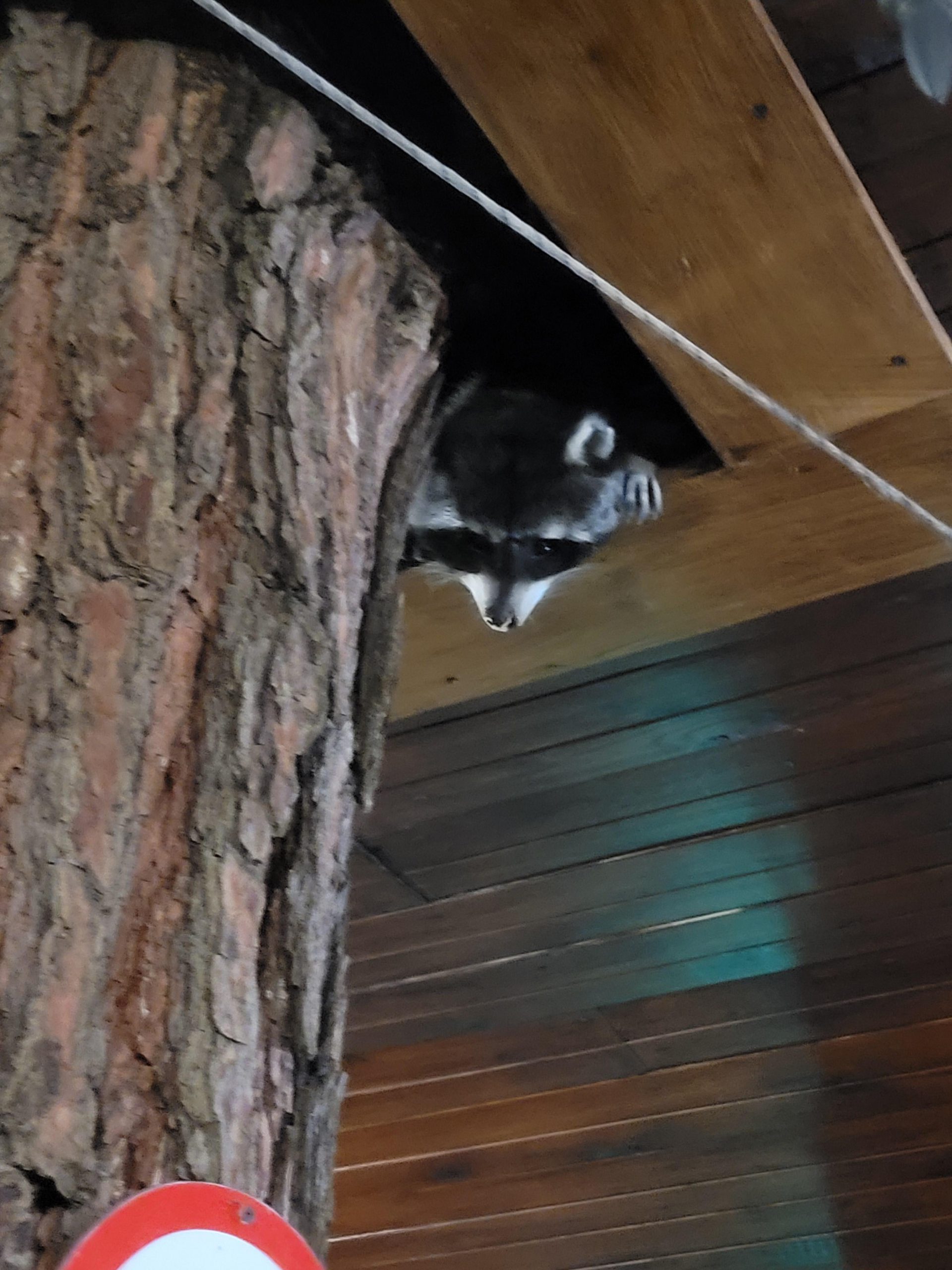 Лето-это хорошо by CHIGRIN ARTEM - Ourboox.com