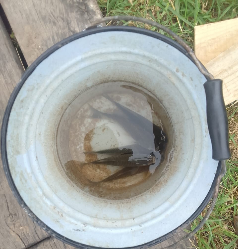 Лето-это хорошо by CHIGRIN ARTEM - Ourboox.com