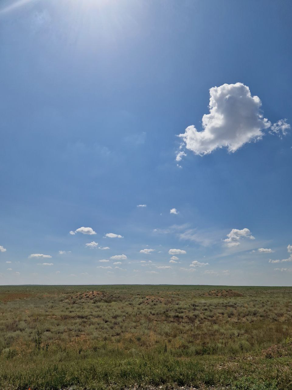 летние каникулы by Gorbunov Aleksandr - Ourboox.com