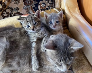 Лето – это хорошо by Evdokimov Egor - Ourboox.com