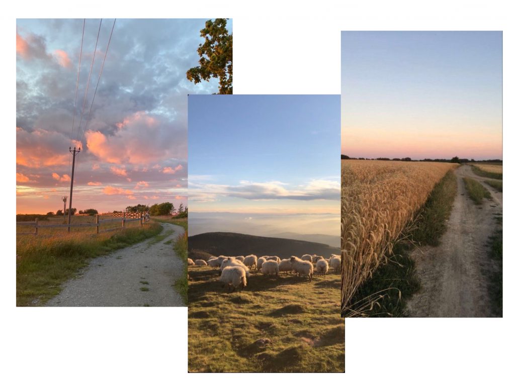 Как я провела лето by Sofia Dorenskaya - Ourboox.com