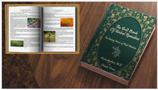 TheLostBookofRemedies