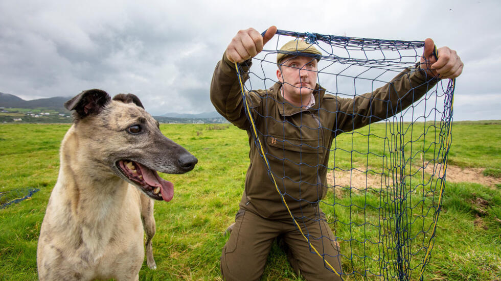 الأرنب الصغير by maryam - Ourboox.com