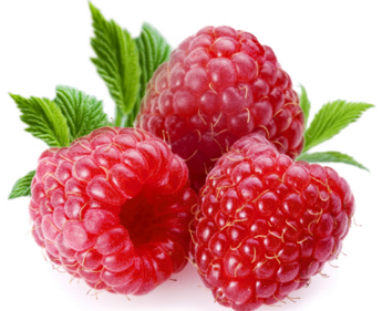 هيا نتعرف على عنوان درسنا اليوم by ola abdullah - Ourboox.com