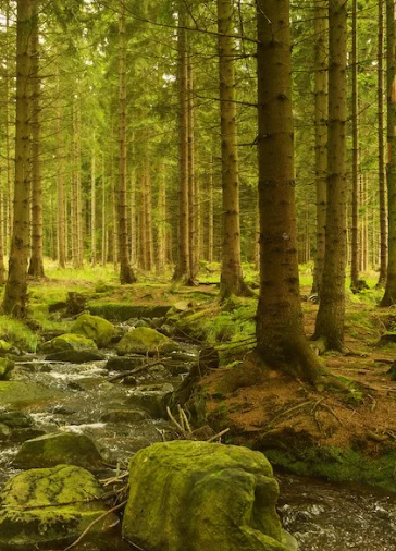 балони by Reni Chervenkova - Ourboox.com