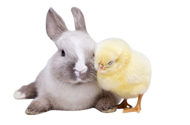 Котаракът в чизми by Elena Petrova - Ourboox.com