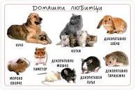 Домашни любимци by Ati Shakirova - Ourboox.com