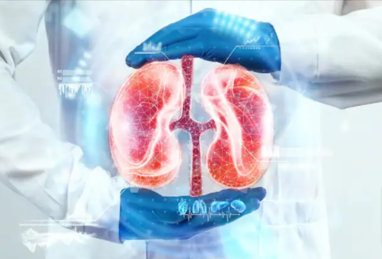 The Chronic Kidney Disease Solution eBook – Does It Work? Benefits & Where To Buy? Must ReadShape by The Chronic Kidney Disease Solution Reviews - Ourboox.com