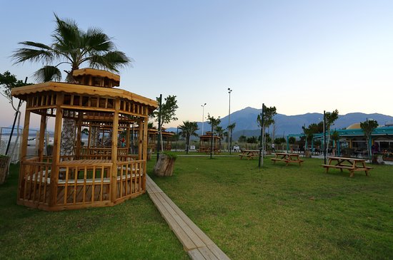 TRAVEL FOR 2 PERSON by Azime Orhan - Illustrated by Azime Orhan, Mustafa Abacı  - Ourboox.com