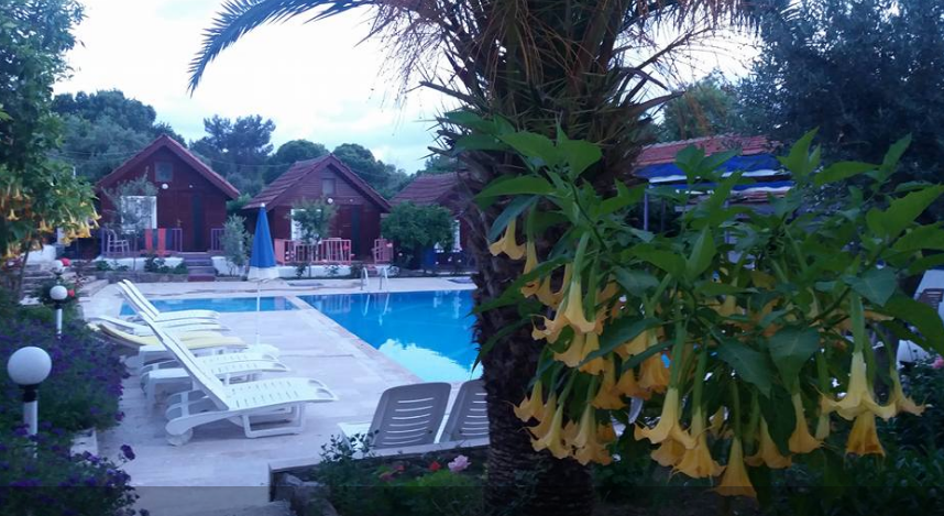 accomodation by wonderhoy  - Ourboox.com