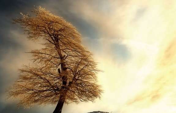 Прислів’я, приказки та загадки для дітей by Elizaveta - Ourboox.com