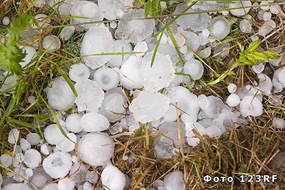 Прислів’я, приказки та загадки для дітей by Elizaveta - Ourboox.com