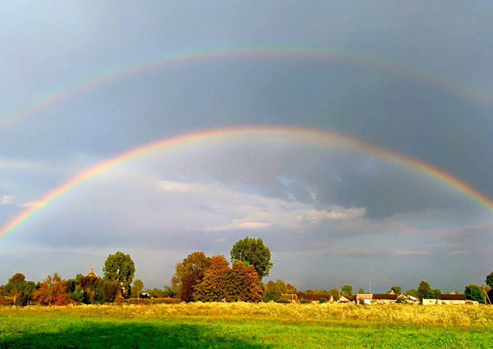 Прислів’я, приказки та загадки для дітей by Elizaveta - Ourboox.com