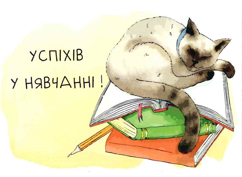 Практичний зошит STEM lab by Kristina Peretyatko - Illustrated by Кристина Перетятько - Ourboox.com