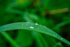 прислів’я, приказки і загадки для дітей by Ilona - Ourboox.com