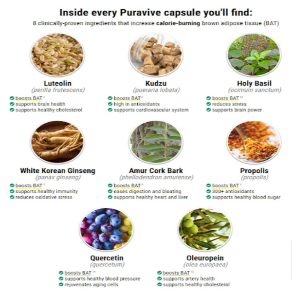 Puravive USA : Must Read Ingredients, Benefits & Where To Buy? by Where to Buy Puravive - Ourboox.com