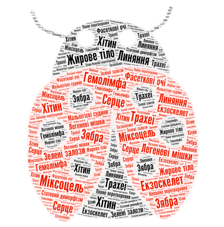 Членистоногі, їхні особливості та різноманітність by SvitlanaSydorova  - Ourboox.com