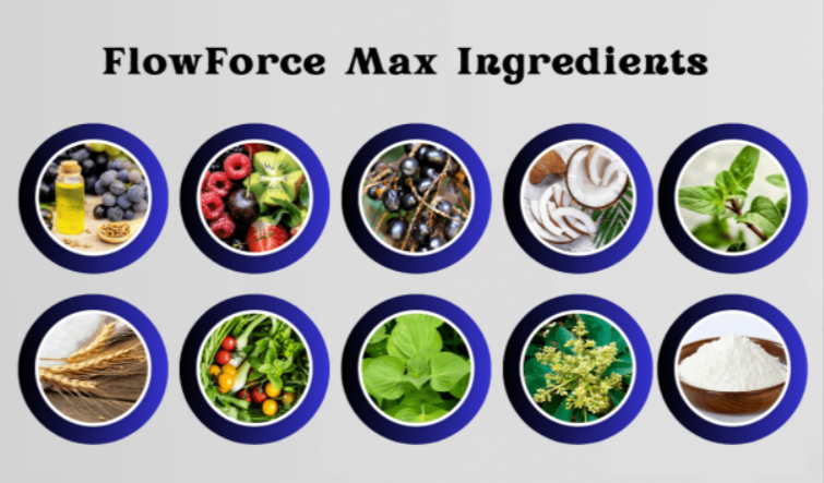 FlowForce Max Prostate Health – Does This Product Really Work? by FlowForce Max Reviews - Ourboox.com