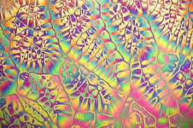 Застосування рідких кристалів by Demyanchuk Sofia - Ourboox.com