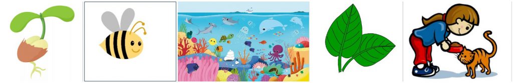 Learning Foreign Languages by Anastasia Isakova - Ourboox.com