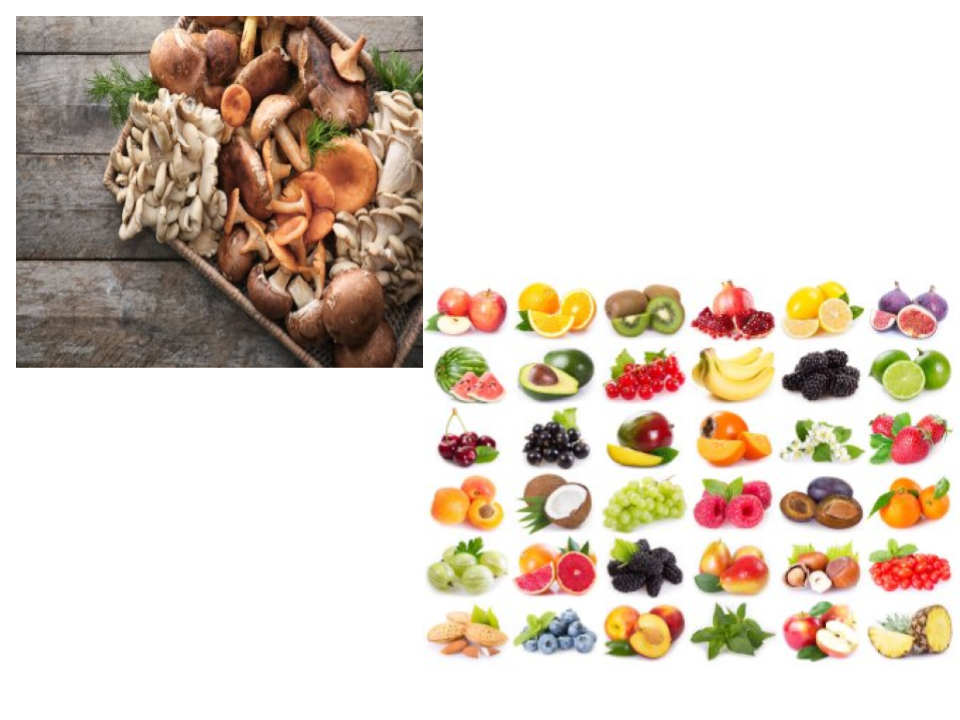 Виробниче навчання by Liudmyla Andrejcenko - Ourboox.com