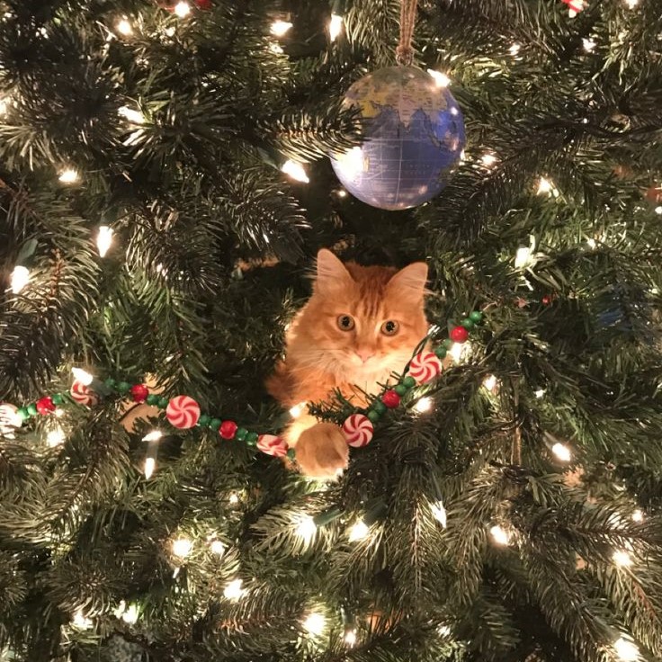 “Як я готуюсь до новорічних свят” Олександра Мисько та Дар’я Виджак by Oleksandra Mysko - Ourboox.com