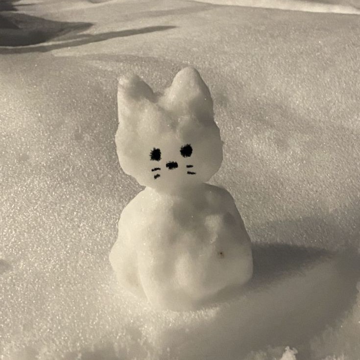 “Як я готуюсь до новорічних свят” Олександра Мисько та Дар’я Виджак by Oleksandra Mysko - Ourboox.com