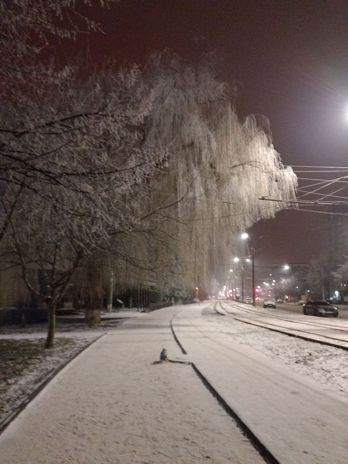 Як я готуюсь до новорічних свят by Sofia - Ourboox.com