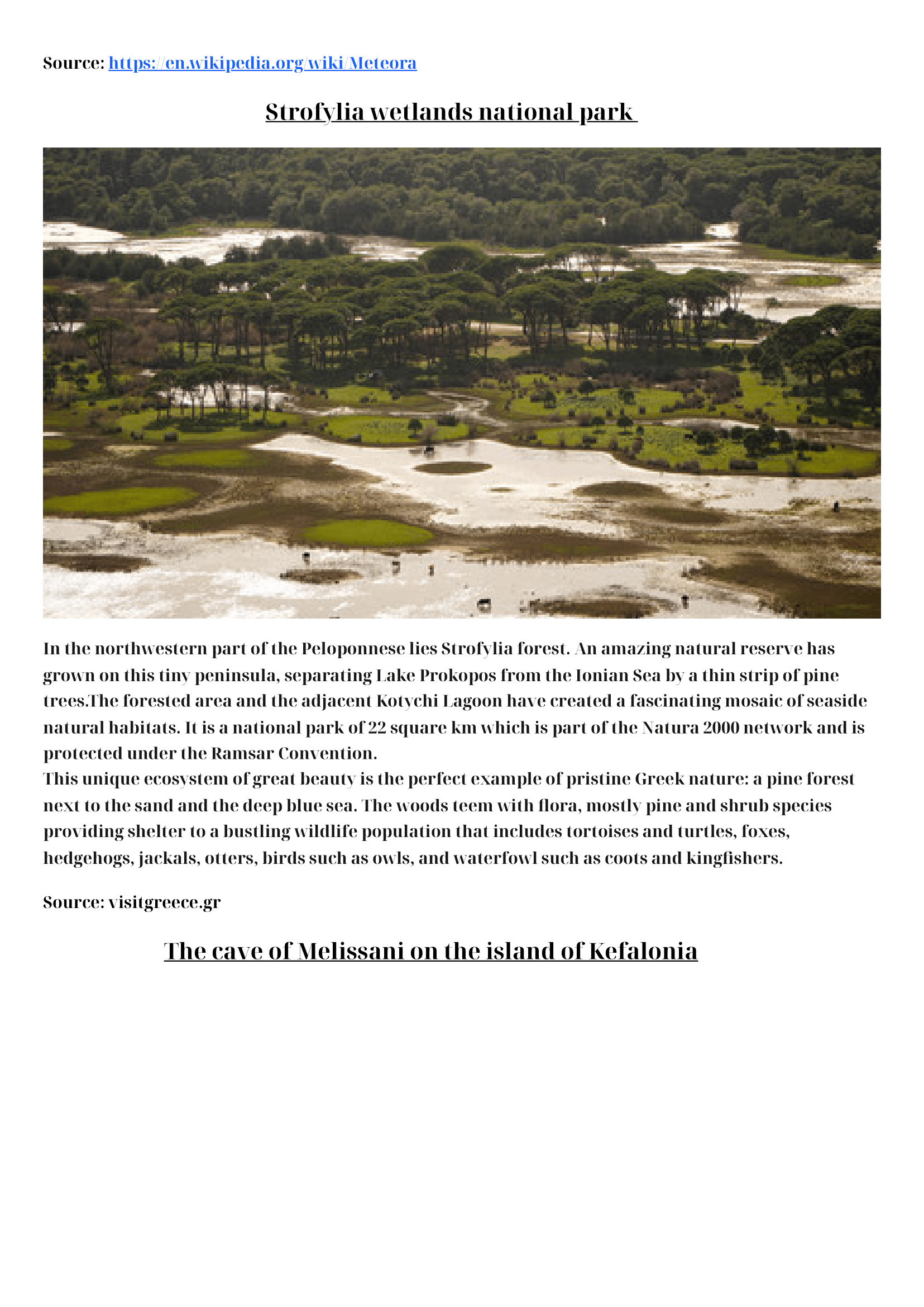 Connected to nature by Kati Bücs - Illustrated by "I see you