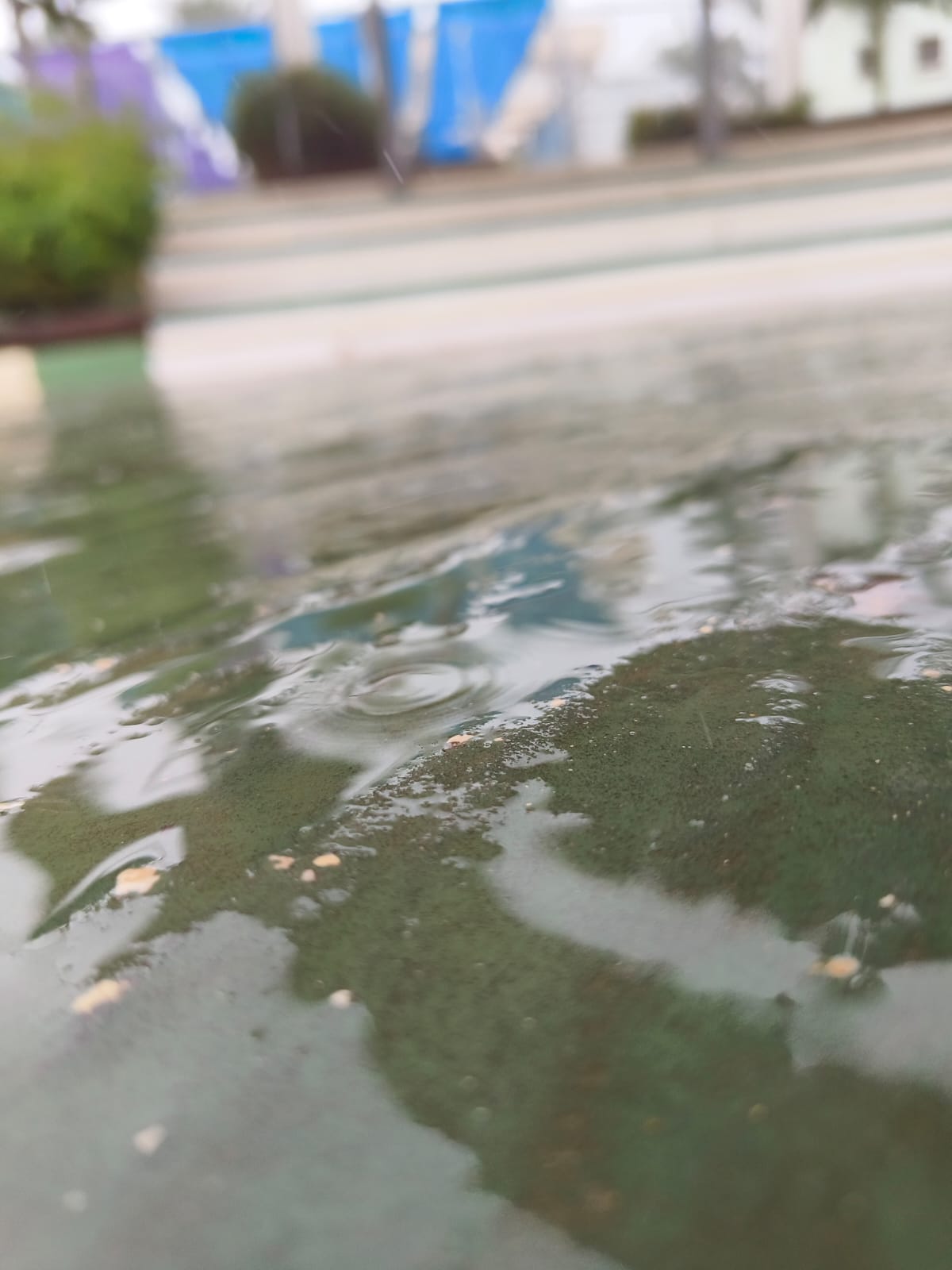 Sana by Sana Abu Husein - Ourboox.com