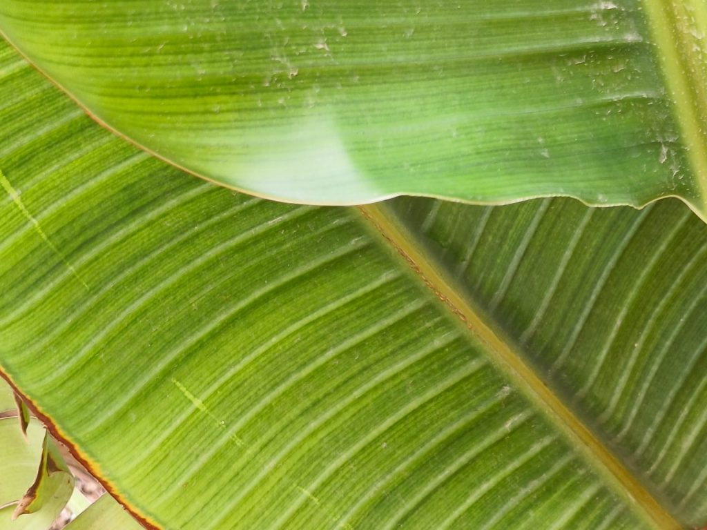 Sana by Sana Abu Husein - Ourboox.com