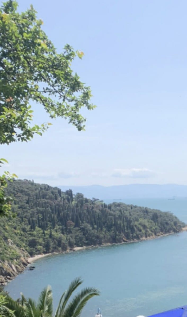 Sana by Sana Abu Husein - Ourboox.com