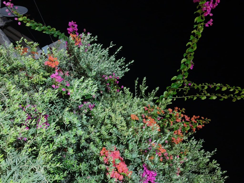 Sana by Sana Abu Husein - Ourboox.com