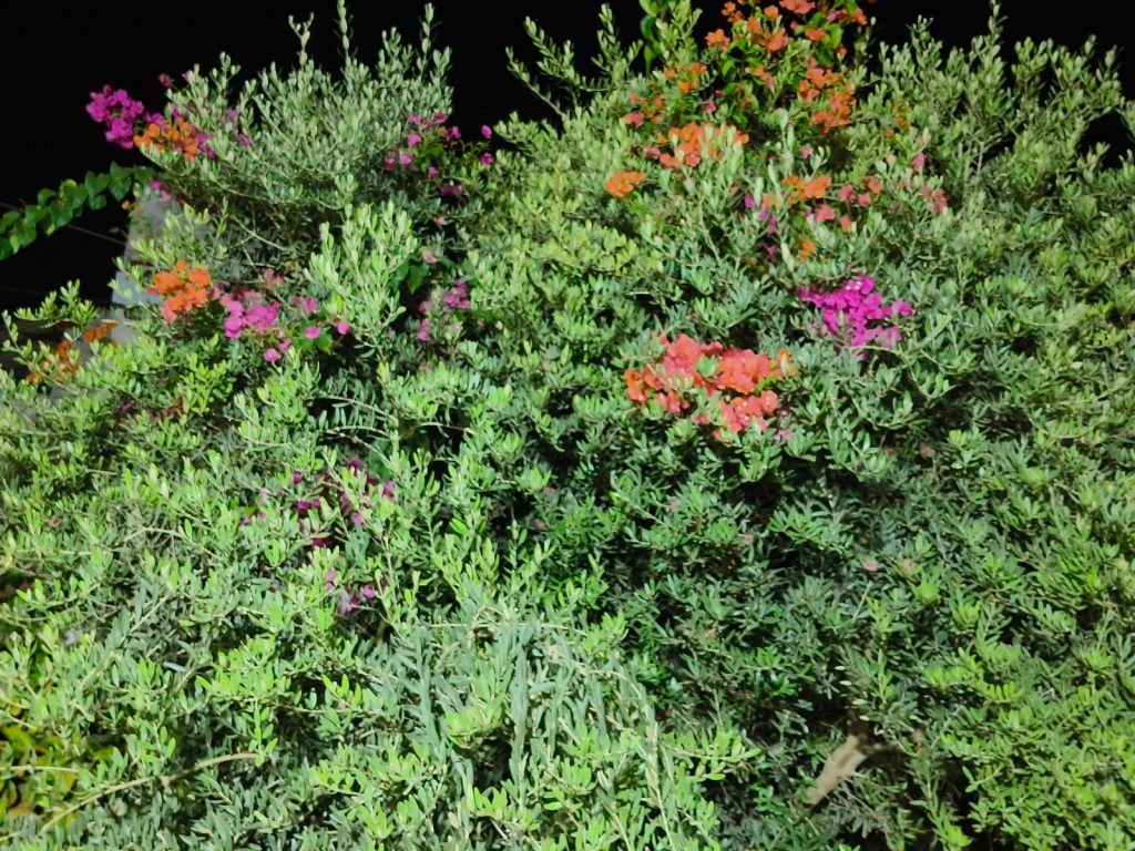 Sana by Sana Abu Husein - Ourboox.com