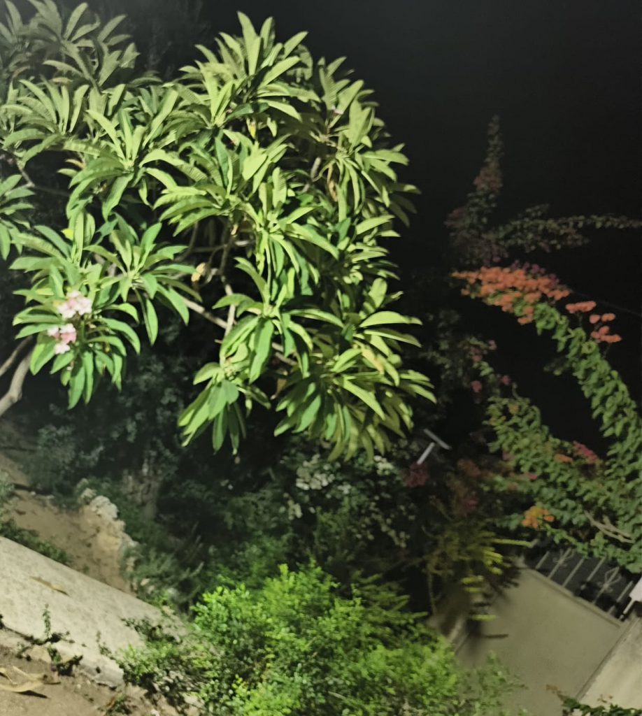 Sana by Sana Abu Husein - Ourboox.com