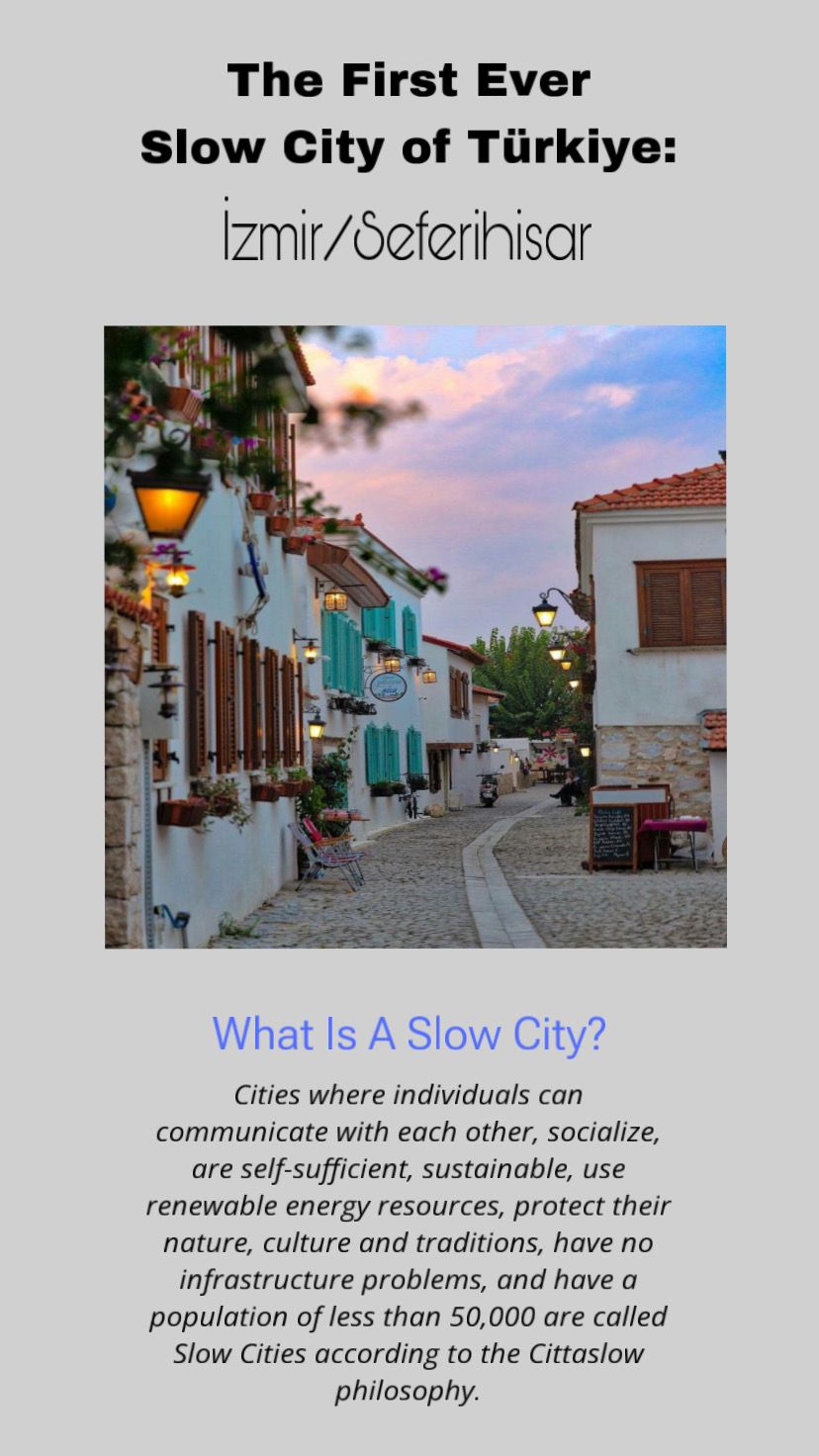 Connected to nature by Kati Bücs - Illustrated by "I see you