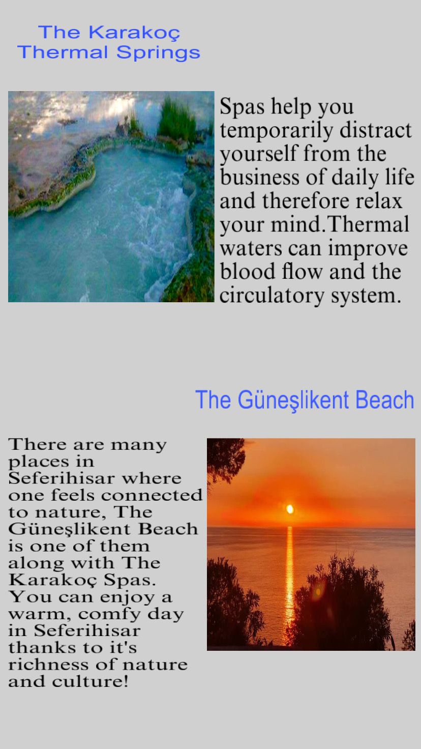 Connected to nature by Kati Bücs - Illustrated by "I see you