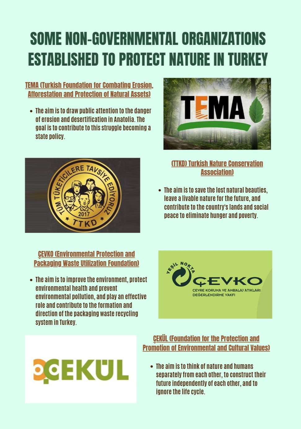 Connected to nature by Kati Bücs - Illustrated by "I see you