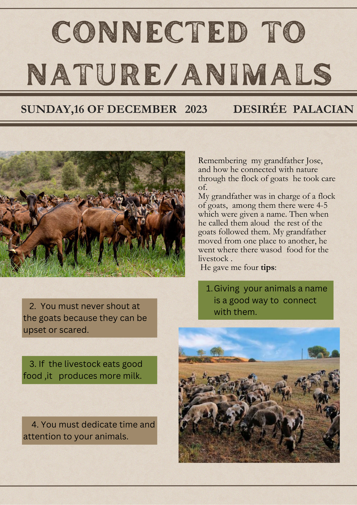 Connected to nature by Kati Bücs - Illustrated by "I see you