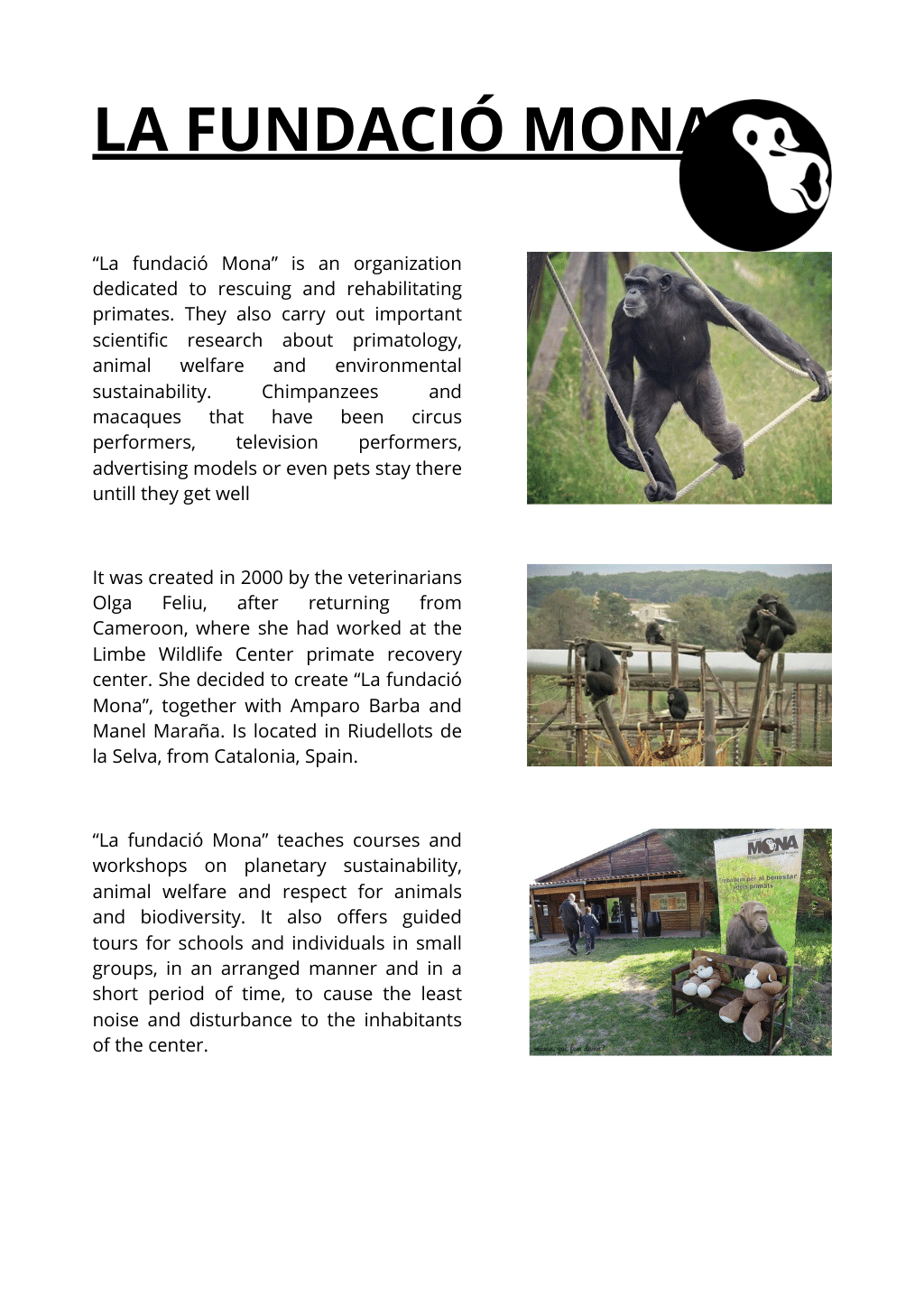 Connected to nature by Kati Bücs - Illustrated by "I see you