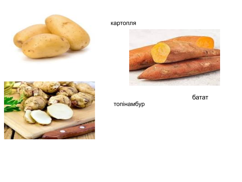 Виробниче навчання by Liudmyla Andrejcenko - Ourboox.com